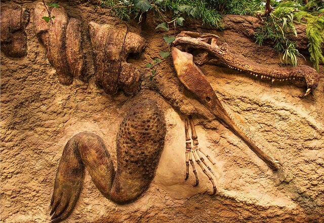 Dinosaur legetøj til alle aldre: Fra babyer til voksne, der stadig elsker disse forhistoriske kæmper